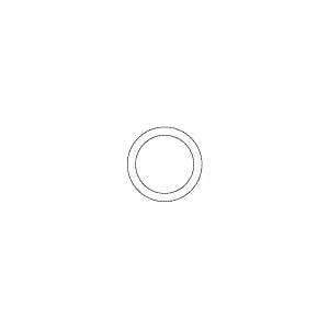 O-Ring, System 1/E Endoscope Washer Part: 450601/RPO606