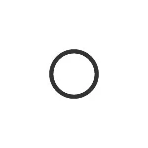 O-Ring, System 1/E Endoscope Washer Part:450608/RPO389