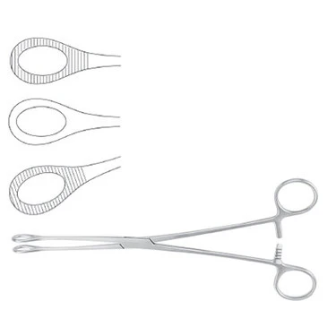 Forceps, Foerster Sponge 9-3/4", Serrated Jaws, Meisterhand SKU:MH7-600 - Image 2